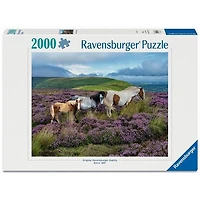 Ravensburger Wild Horses in Heather - 2000 pièces