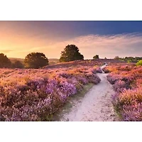 Ravensburger La voie rose - 1000 pièces