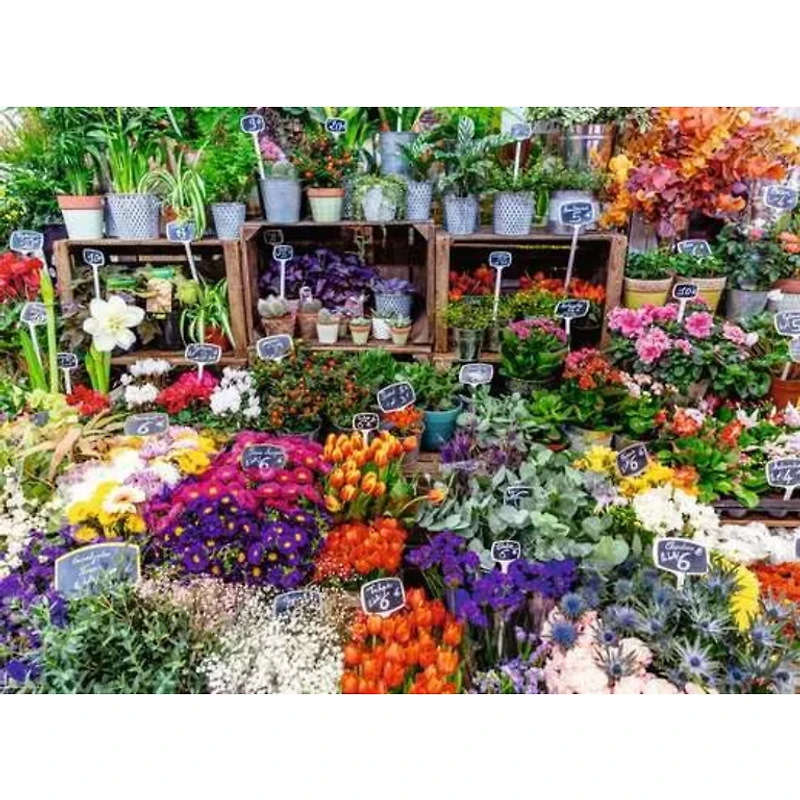 Ravensburger Marché de fleurs, France - 500 pièces