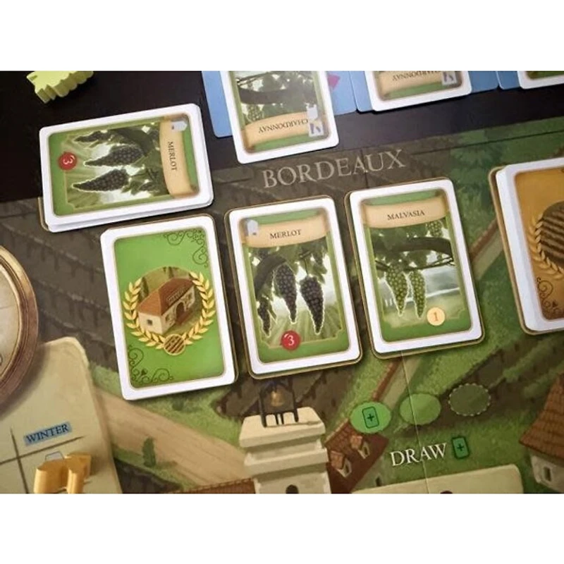 Viticulture - Bordeaux (Français) 