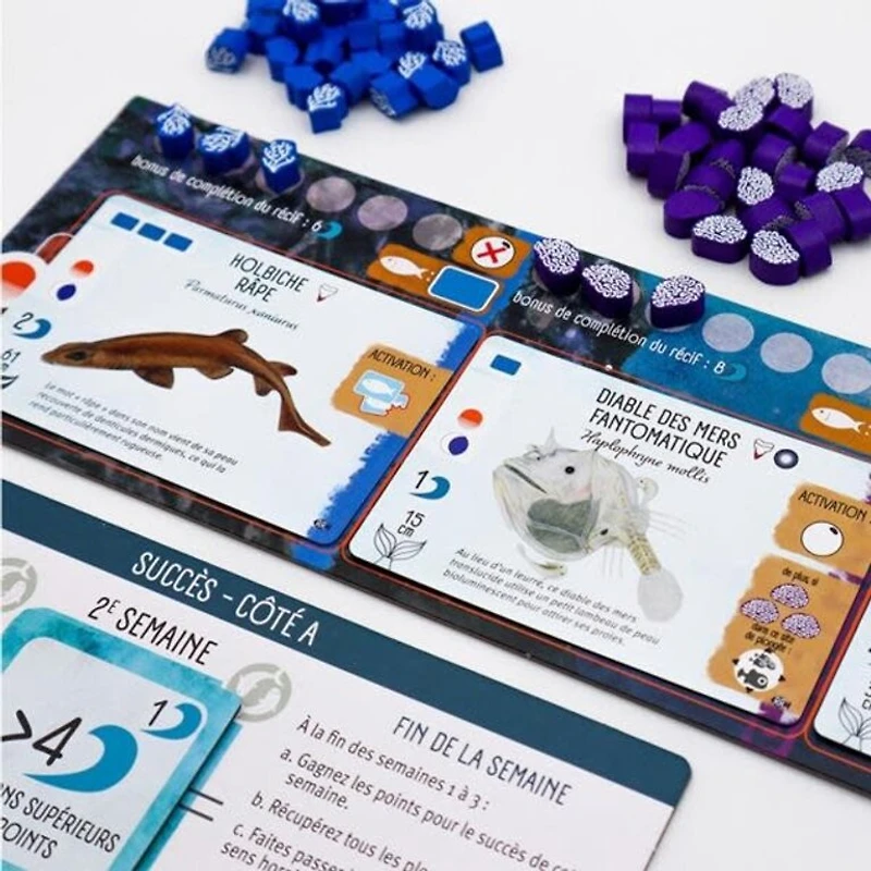 Finspan - Requins et récifs (Français) [PRÉCOMMANDE]