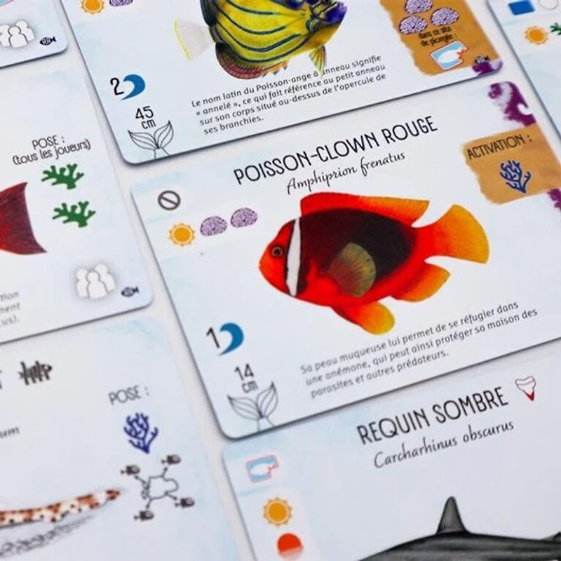 Finspan - Requins et récifs (Français) [PRÉCOMMANDE]