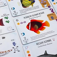 Finspan - Requins et récifs (French) [PREORDER]