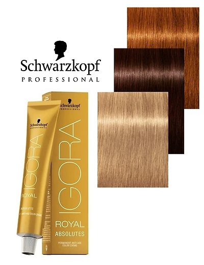 IGORA ROYAL | ABSOLUTES  Permanente Hair Color 60ml