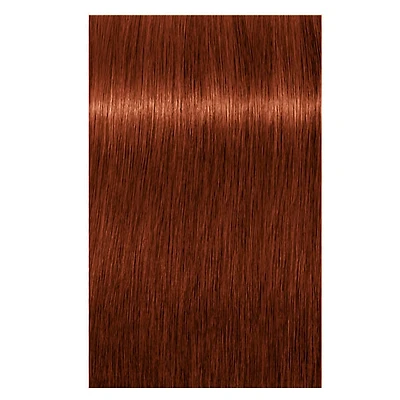 IGORA . ROYAL ***OPULESCENCE | Coloration Permanente (60ml/2oz)