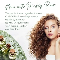 Clean Beauty Collection | Curl Foam 207ml (7 oz)