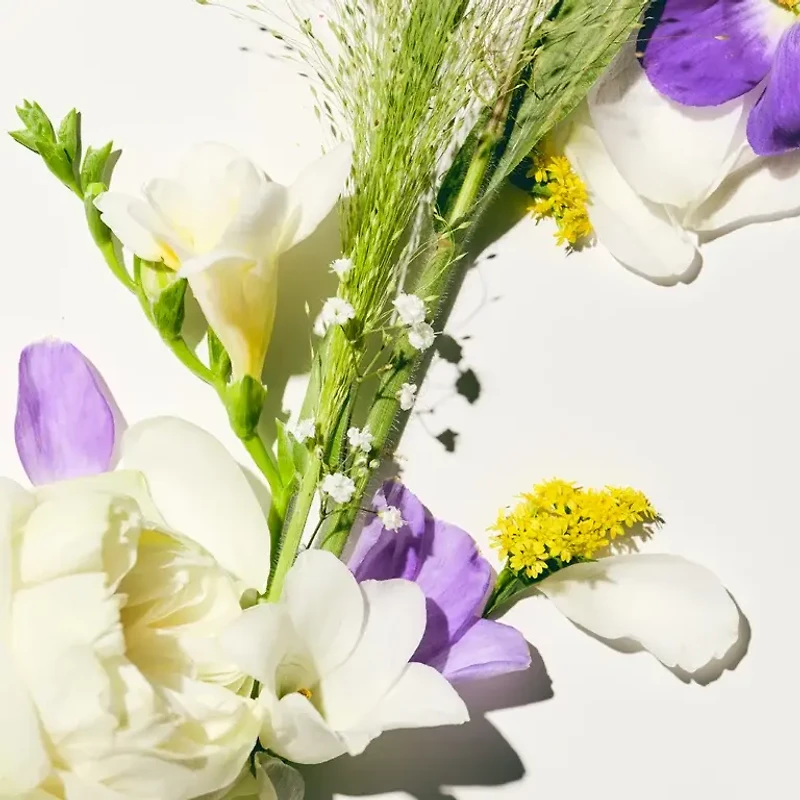 Bare Cleanser | Gentle Balancing Shampoo
