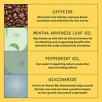 NIOXIN - SYSTÈME | 1 Cheveux Naturels