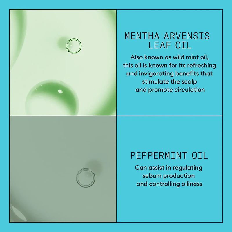 NIOXIN - SYSTÈME | 3 Cheveux Colorés - Légèrement Clairsemés | Revitalisant