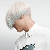 GOLDWELL - DUALSENSES | SILVER Shampooing Argent 300ml (10.1 oz)