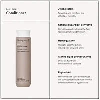 NO FRIZZ Conditioner