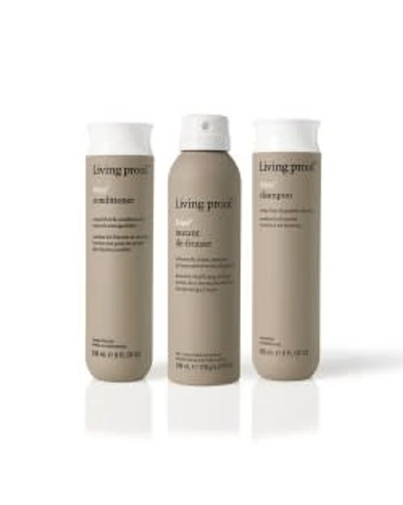 NO FRIZZ Instant de-Frizzer