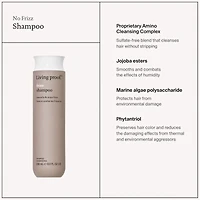 NO FRIZZ Shampoo