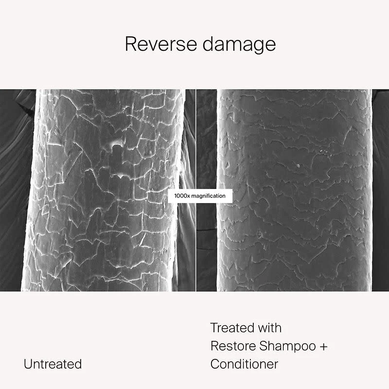 LIVING PROOF - RESTORE | Shampooing / Shampoo