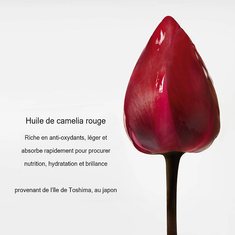 Essence Absolue | Concentré Huile Nourrissante Apaisante 50 ml (1.69 fl. oz)