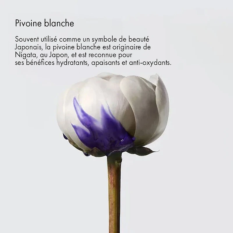 Yubi Blonde | Baume Violet Anti-Faux Reflets 200ml (6 fl. oz)