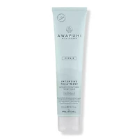 REPAIR Intensive Treatment