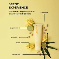 Bounce.Me | Curl Balm – Hydrating Definition With Soft, Frizz-Controlled Finish