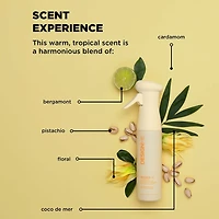 Bounce.Me | Brume Infinie Rehausseur de Boucles 250ml (8.5 oz)