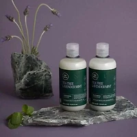 Lavender Mint | Hydrating, Soothing Cleanser