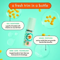 The Closer | Réparation Instantanée 50ml