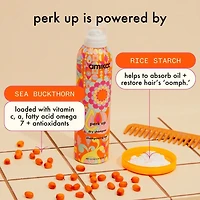 amika | Perk Up Dry Shampoo