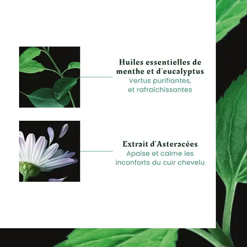 Astera Fresh | Soothing Freshness Shampoo