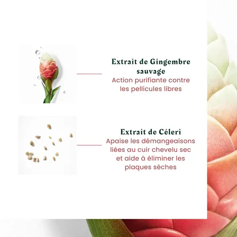 NEOPUR Shampooing  Équilibrant Pellicules Libres, Cuir Chevelu Sec