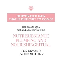 Nutrisubstance | Traitement Cheveux Nourris et Protégés en 8 Heures 100 ml