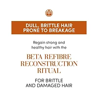 Beta Refibre | Reconstructive Hair Serum 24 x 10ml