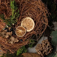 Lip Balm 4.25g (0.15 oz)