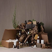 Trial Kit | Beard Care
