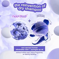 AirWash | Dry Shampoo 118ml (4 oz)