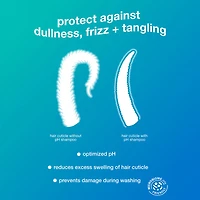 Damage Shield | PH Protective Shampoo 250 ml (8.5 oz)