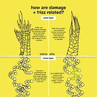 Molecular Repair Hair Oil