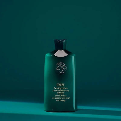 Moisture & Control | Lotion de Base Revitalisant Démêlant Sans Rinçage 250 ml (8.5 oz)