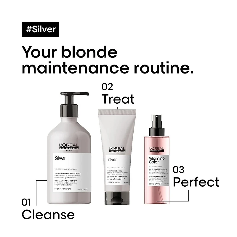 Serie Expert | Silver | Soin Revitalisant 200ml (6.7 fl. oz)