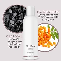 Clean Beauty Collection | Shampooing Sec 150.25g (5.3 oz)