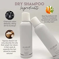 Clean Beauty Collection | Shampooing Sec 150.25g (5.3 oz)