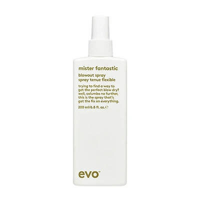 Mister Fantastic | Blowout Spray