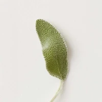 Conditioning Mist |  Spray Démêlant 355 ml