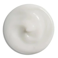 Total Results | Mega Sleek | Blow Down (150 ml / 5.1 oz) – Heat-Protective Blow-Dry Cream
