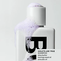 Violets Are True | Shampooing – Soin Pigmenté Violet Doux pour Cheveux Colorés ou Gris