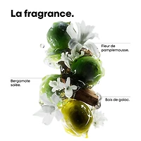 L'ORÉAL - Coffret . Fêtes . 2025 | METAL DETOX