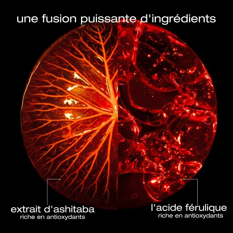 Ashita Supreme | Coffret des Fêtes 2025 | Revitalisation & Douceur