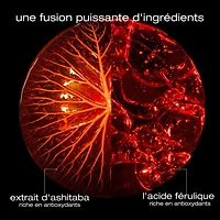 Ashita Supreme | Coffret des Fêtes 2025 | Revitalisation & Douceur