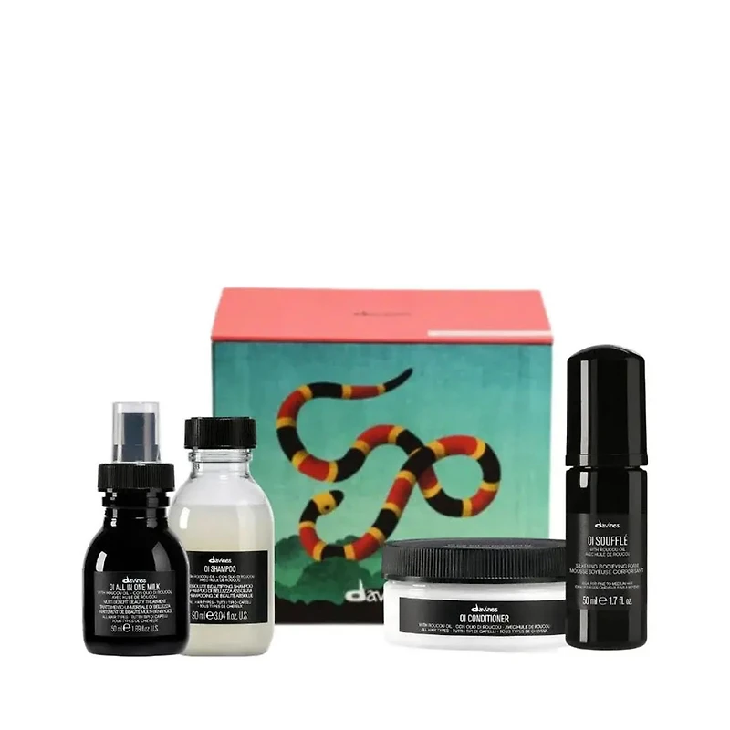OI | Holiday Set 2025 | Elegant Tropical Forest — Softness & Shine