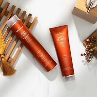 BETA REFIBRE | Coffret Fêtes 2025 | Reconstructeur — Réparation & Force