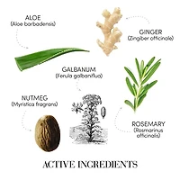 Puroxine | Coffret Fêtes 2025 | Antipellicules — Purifiant & Confort Cuir Chevelu