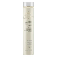 Blondies | Coffret Fêtes 2025 | Fortifiant Cheveux Blonds — Force, Souplesse & Éclat